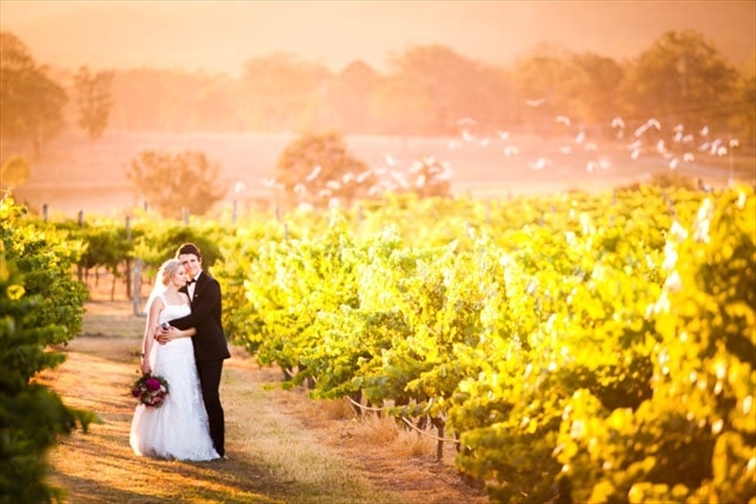 Wedding Venue - Albert River Wines 3 on Veilability